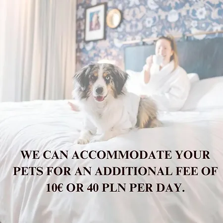 Apartment Lumina With 2 Terraces And Parking